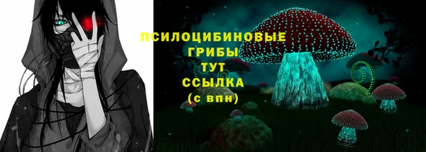 герыч Бородино